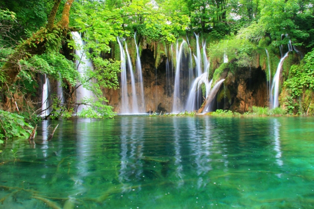 Potabilizar agua de la naturaleza